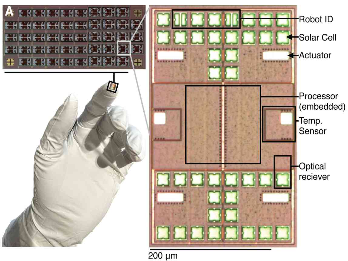 突破性微型机器人问世：小于一毫米配备内置计算机可自主导航