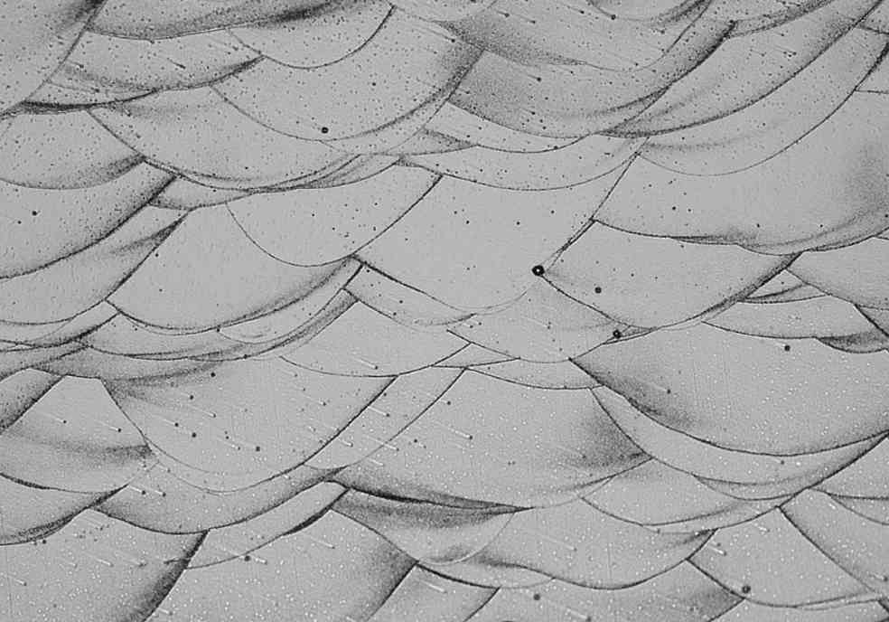 新型3D打印铝合金突破高温性能瓶颈，轻质耐热材料迎来重大进展