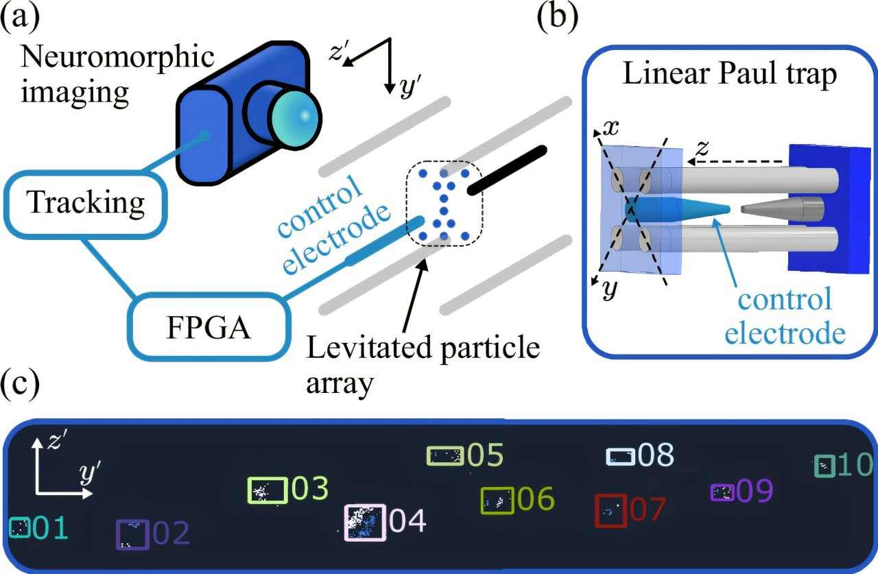 仿生眼传感器技术突破:追踪百颗微粒革新传感精度 仿生眼传感器技术突破:追踪百颗微粒革新传感精度